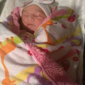 Meet your Posher, Elva